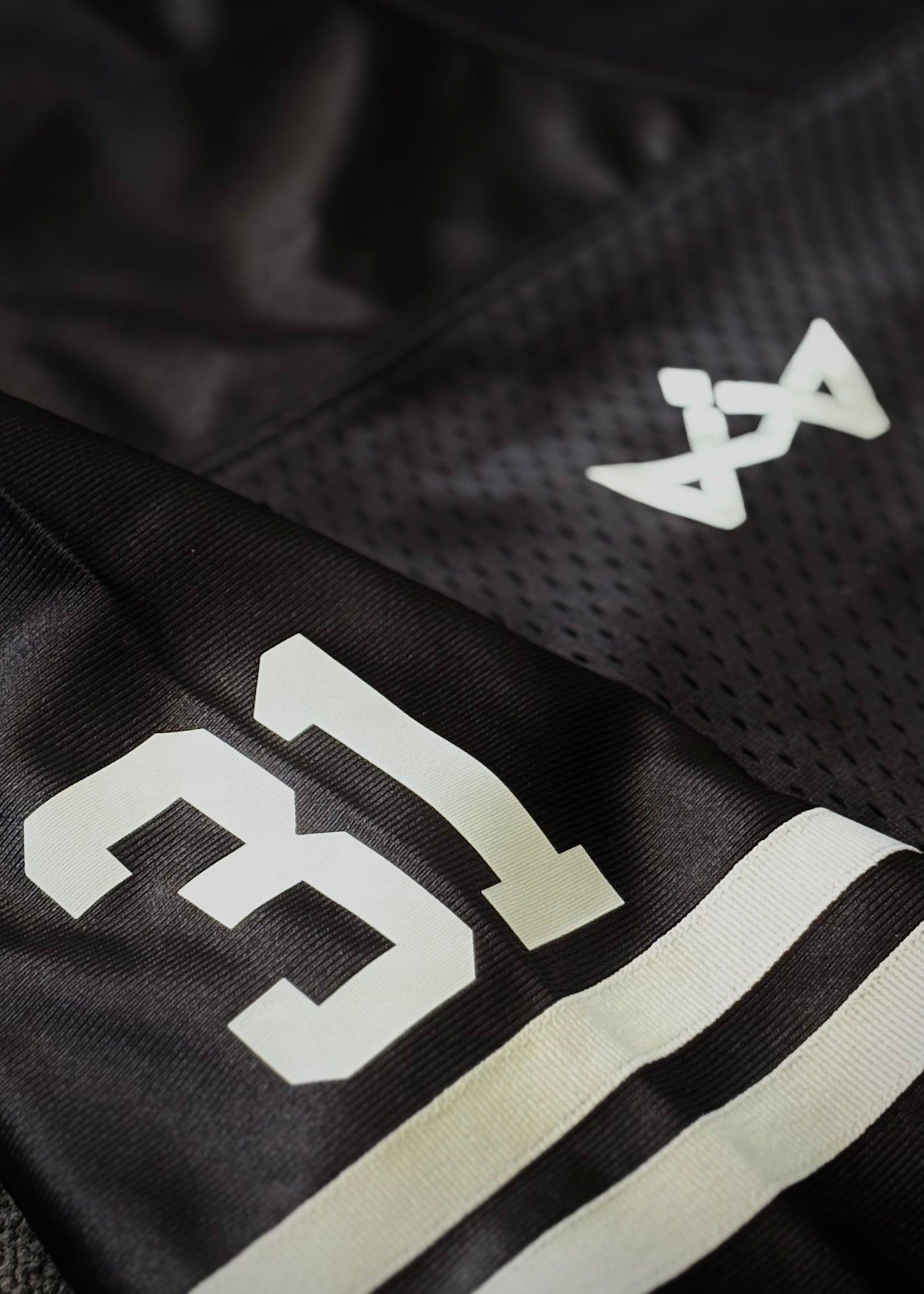 Women’s Proverbs 31 Jersey